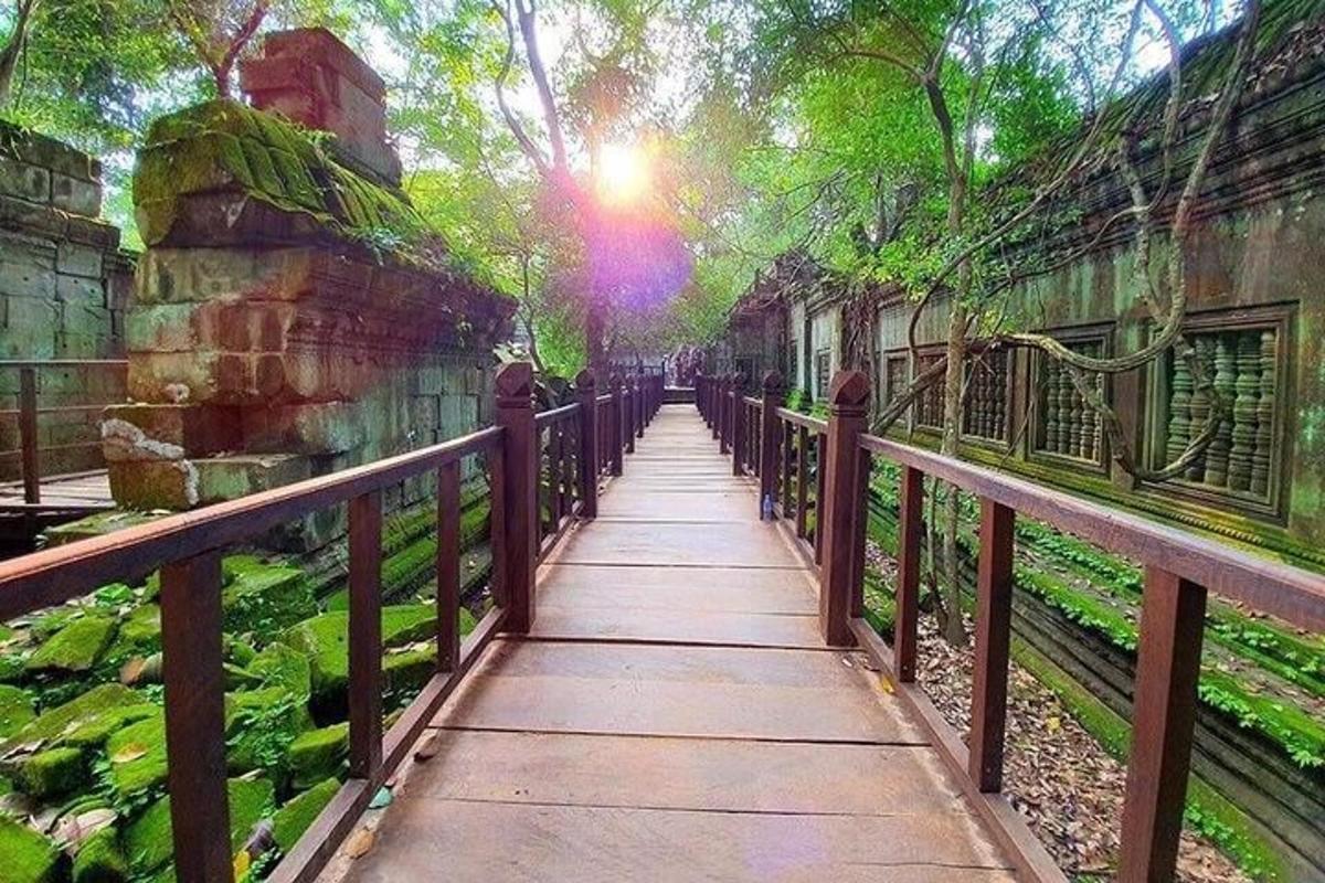 una passerella in un parco con alberi e una recinzione