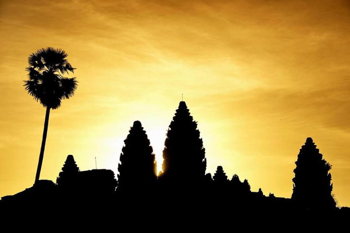 une silhouette d'un bâtiment avec un palmier