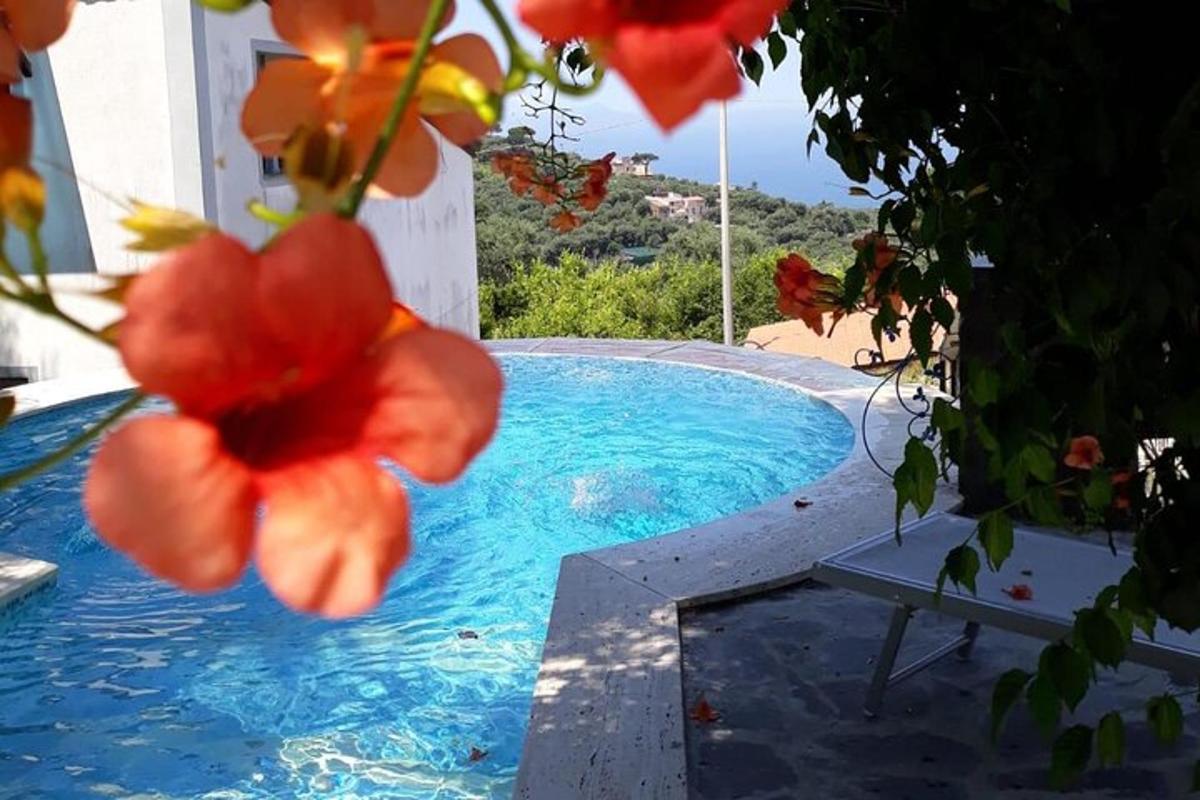 a close up of a flower next to a swimming pool