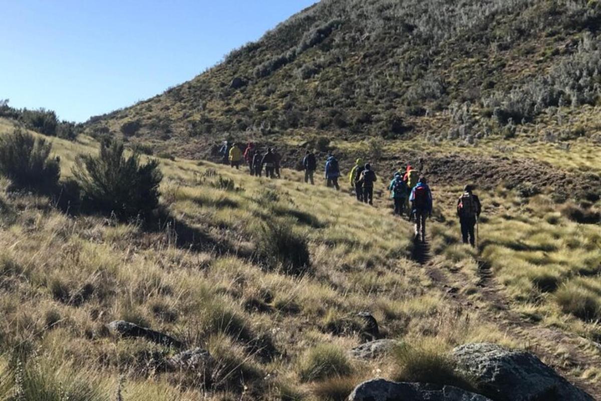 un gruppo di persone che cammina su una collina lungo un sentiero