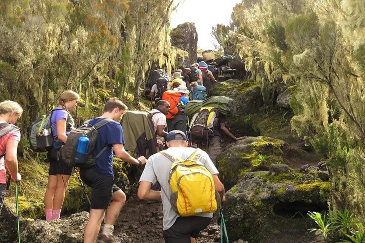 grupp inimesi mägirajal kõndimas