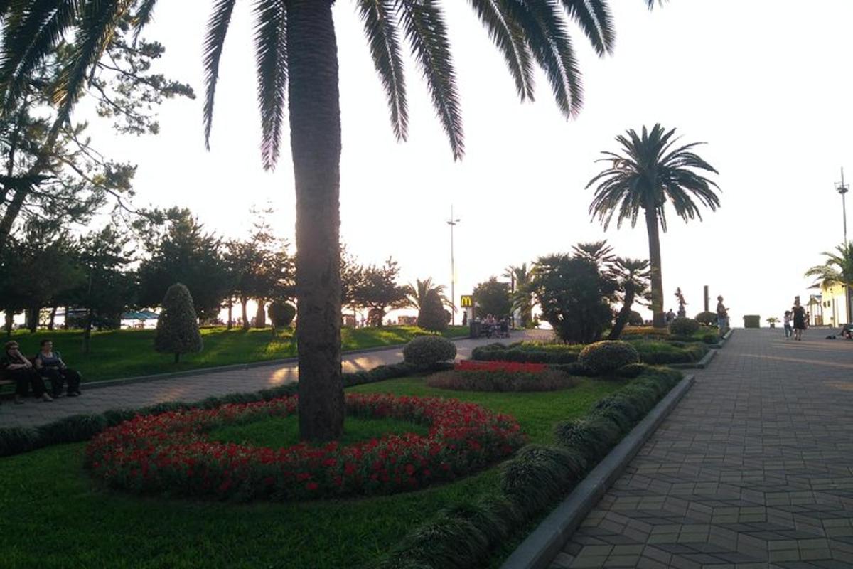 un parco con palme e fiori e un marciapiede