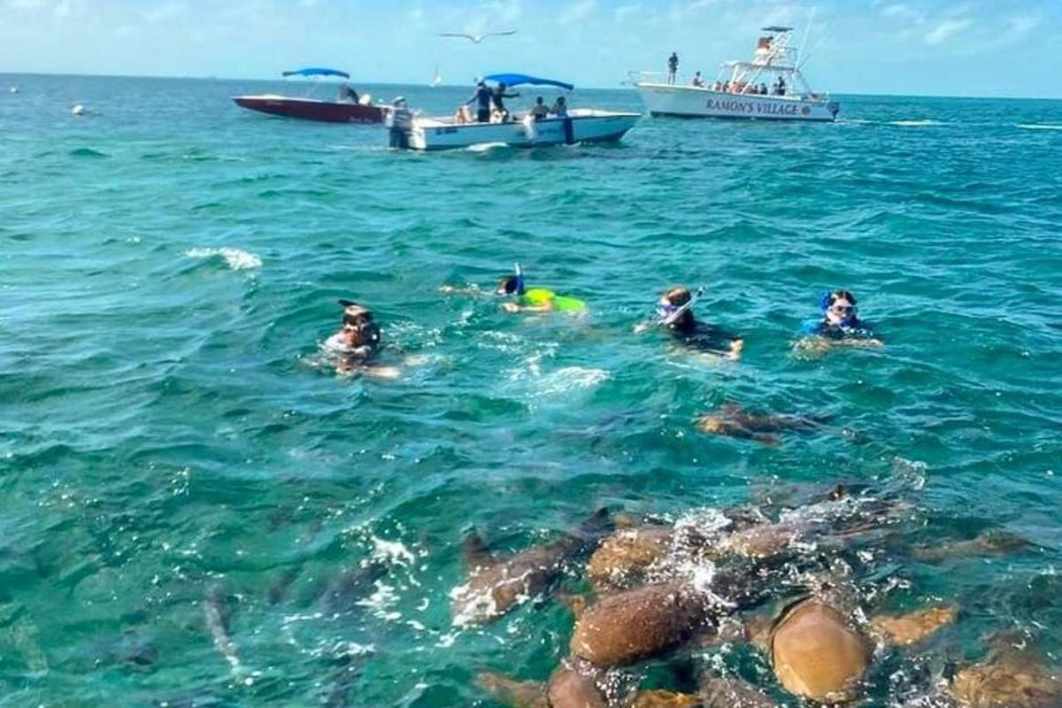 a group of people swimming in the ocean with boats