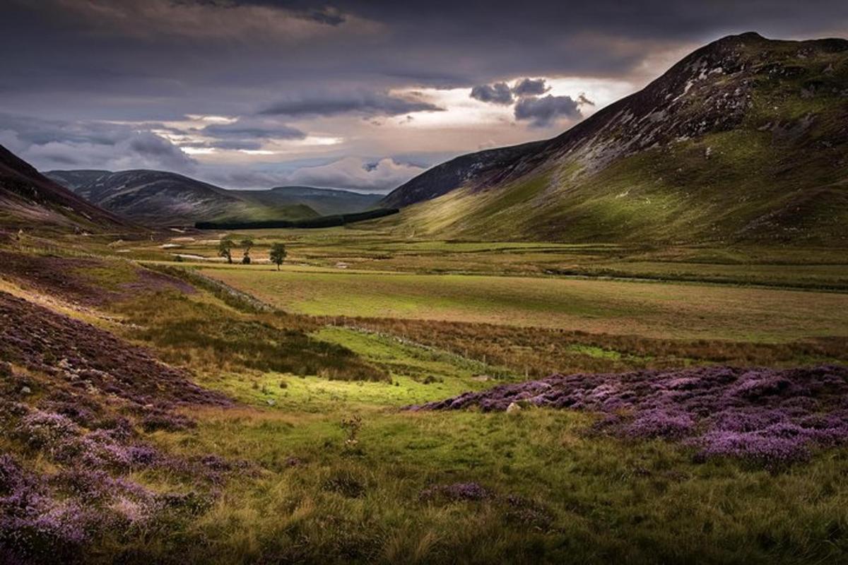 a group of people walking in a field with mountains