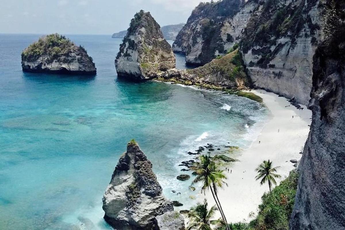 ein Strand mit Felsen und Palmen und dem Meer