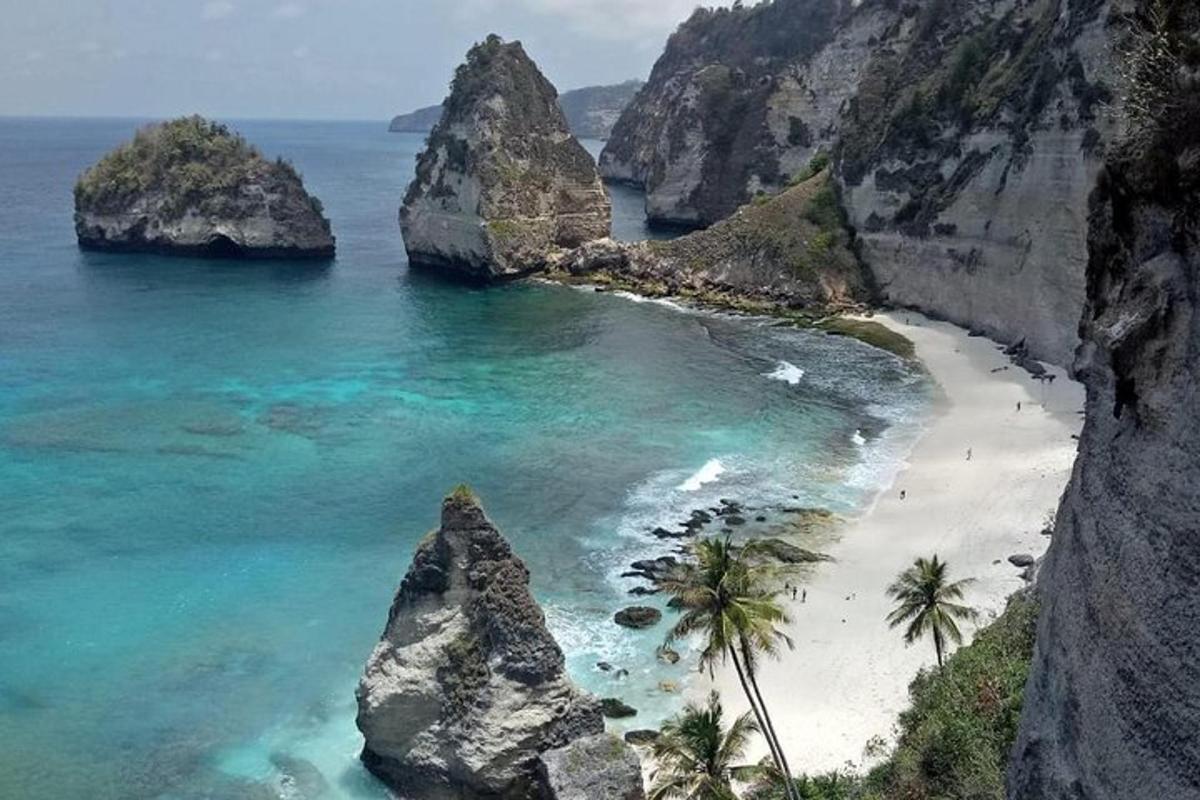 ein Strand mit Palmen und Felsen im Meer