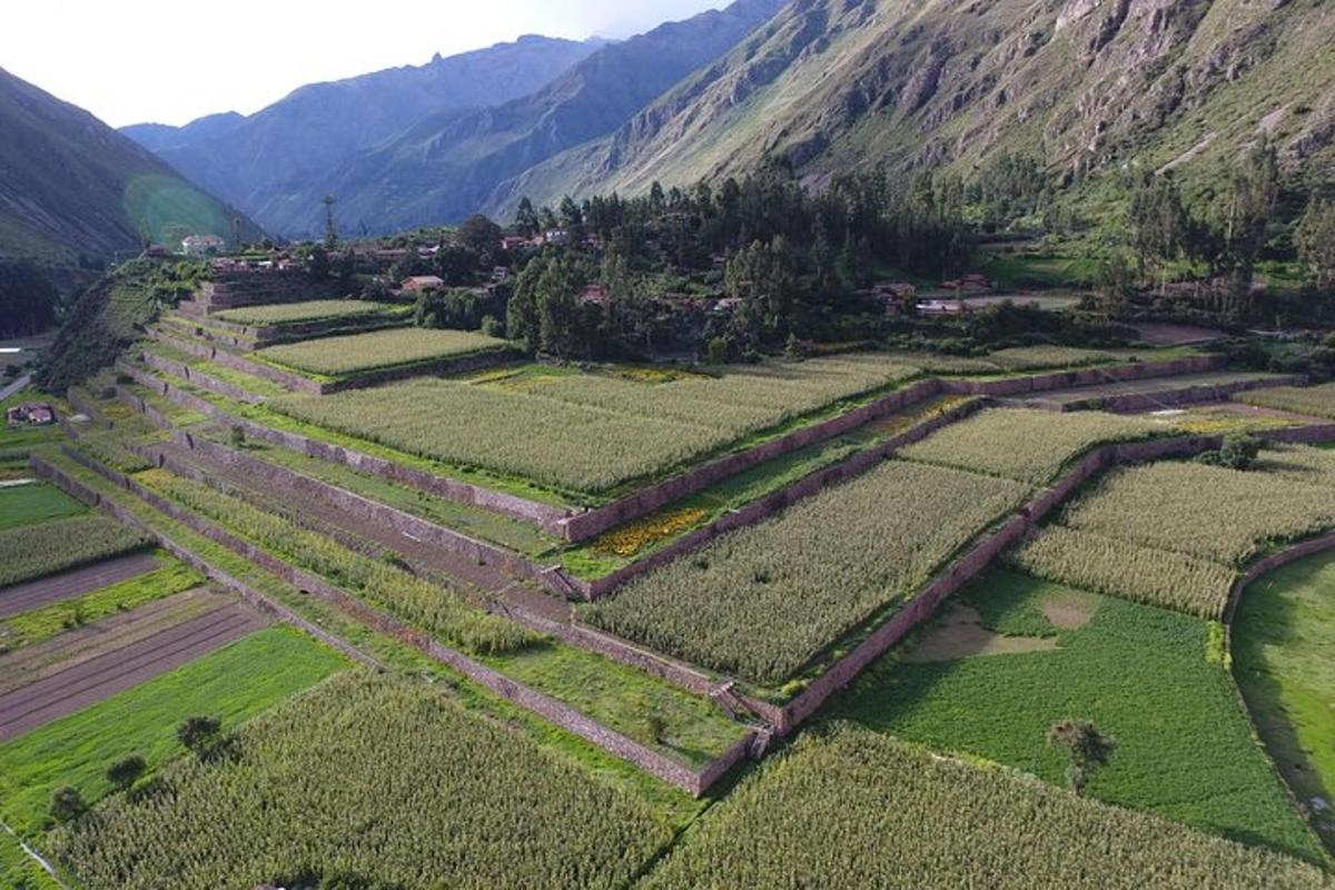 an aerial view of a field with mountains in the background