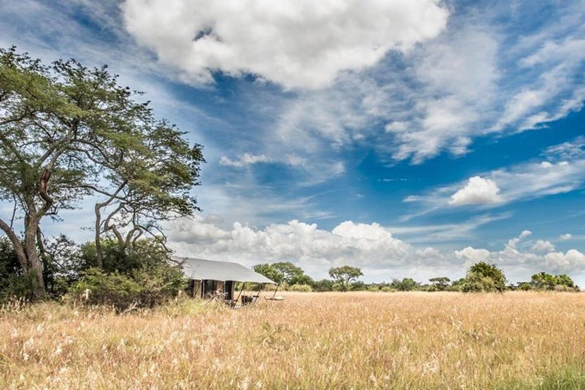 um edifício no meio de um campo