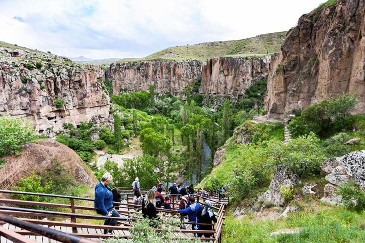 a group of people standing on a fence in a canyon