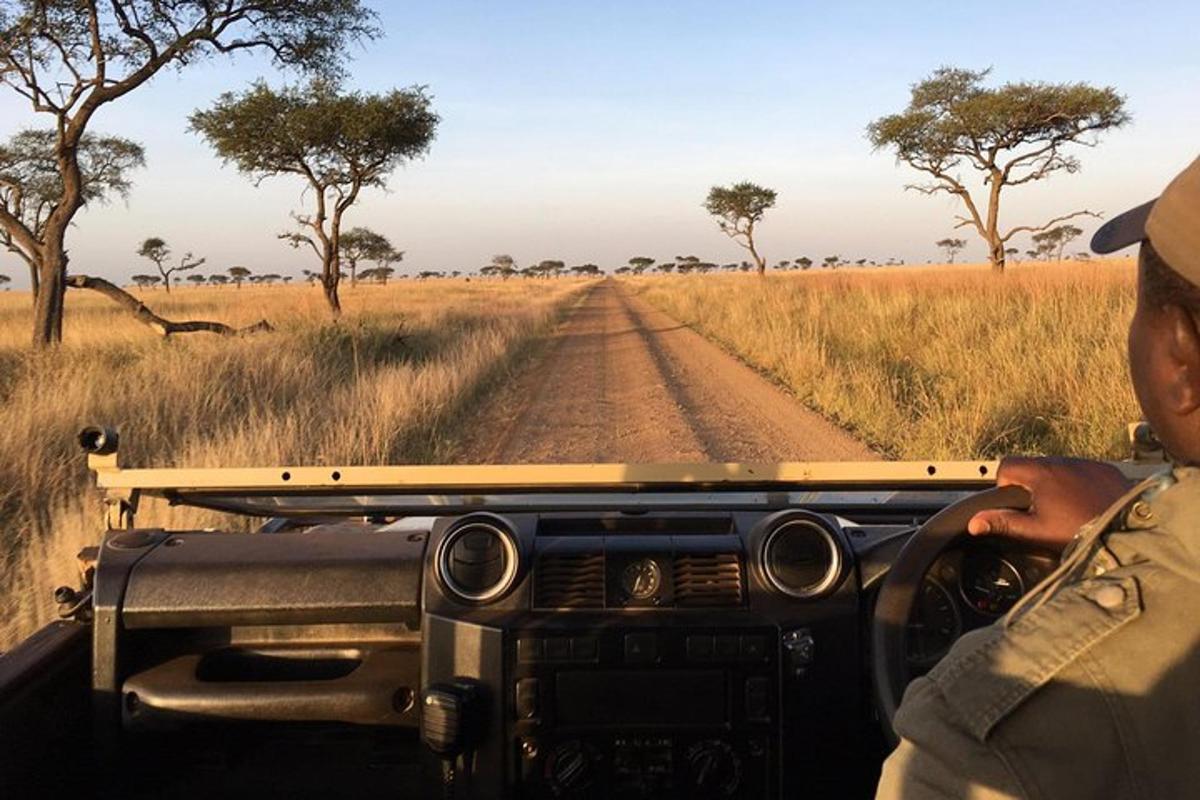 um homem dirigindo um jipe por uma estrada de terra