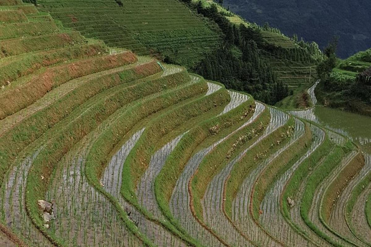 an aerial view of a field of crops