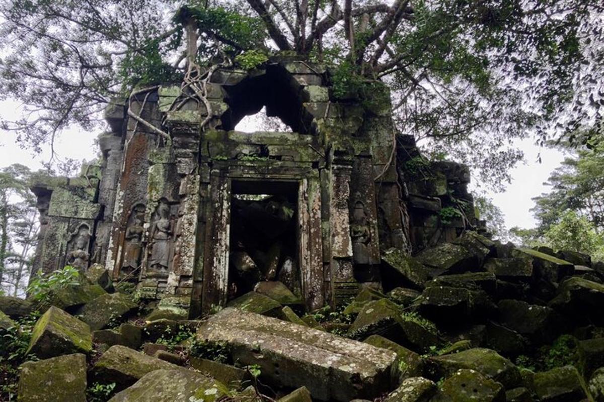 an old stone building with a tree in the middle