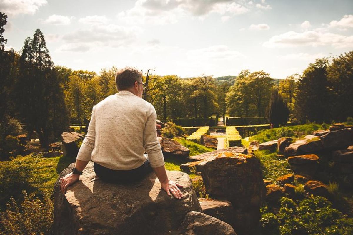 Ein Mann sitzt auf einem Felsen und schaut in einen Garten