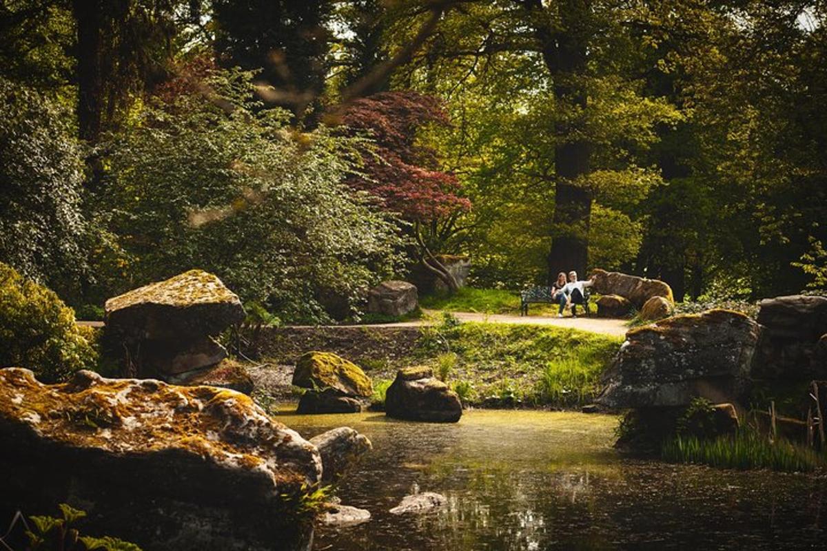 Eine Gruppe von Menschen sitzt auf einer Bank in einem Park neben einem Fluss
