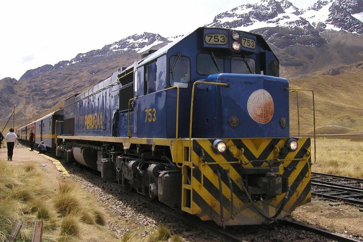 un treno blu e giallo è sui binari
