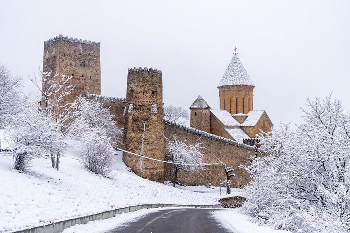 hrad pokrytý snehom vedľa cesty
