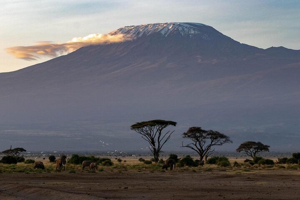 a mountain with a herd of elephants in front of it