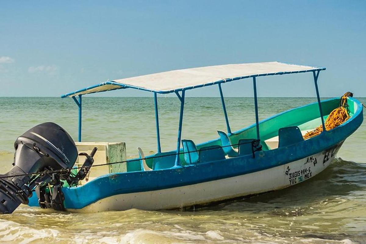 bot biru duduk di dalam air di pantai