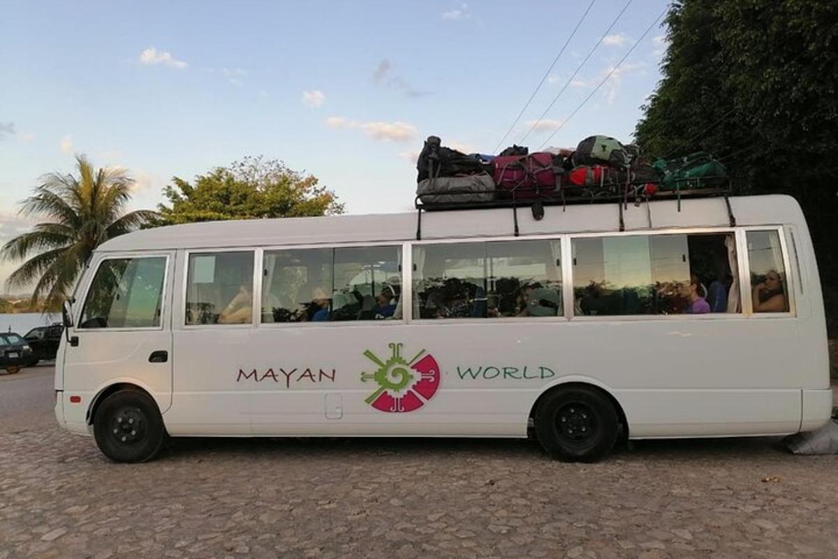 a white bus is parked in a parking lot