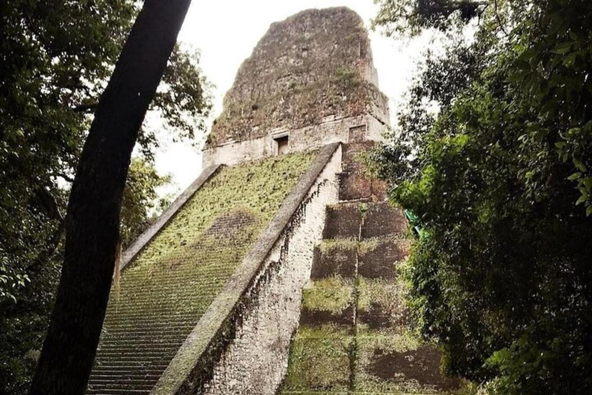 an old building with a pyramid in a forest