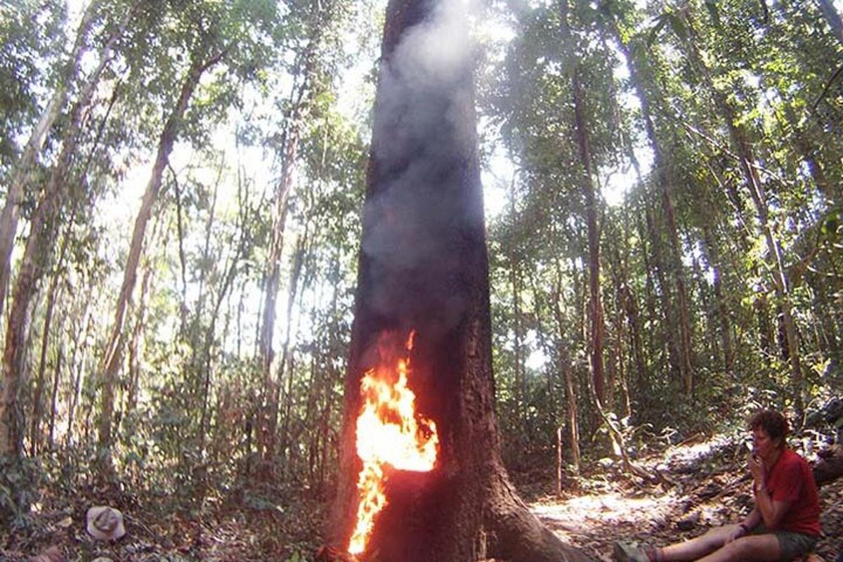 Fotografia da atração 6