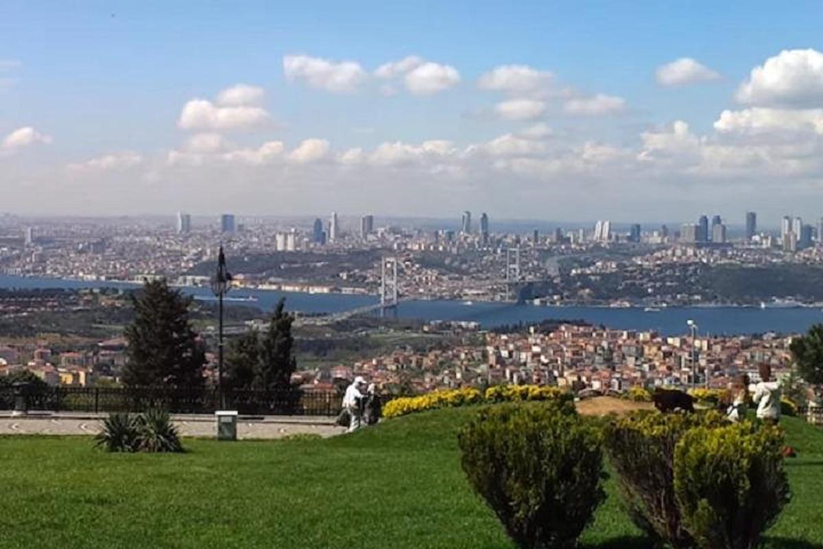 a view of a city from a park with green grass