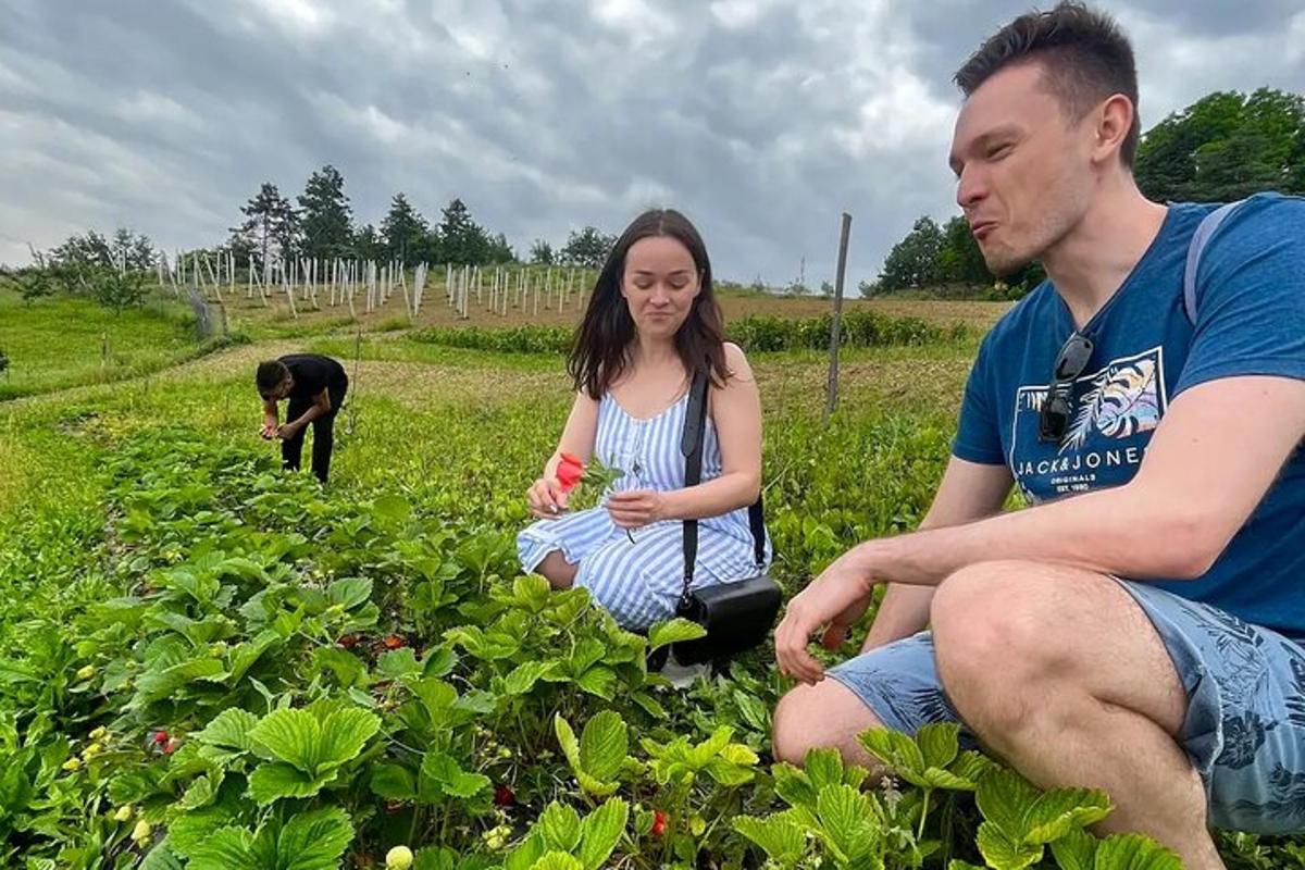 um homem e uma mulher sentados em um campo de plantas