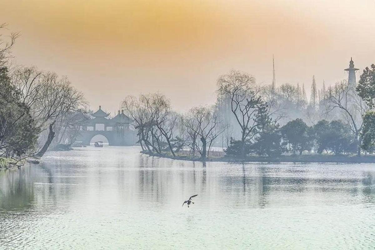 seekor burung terbang di atas tasik di hadapan sebuah rumah