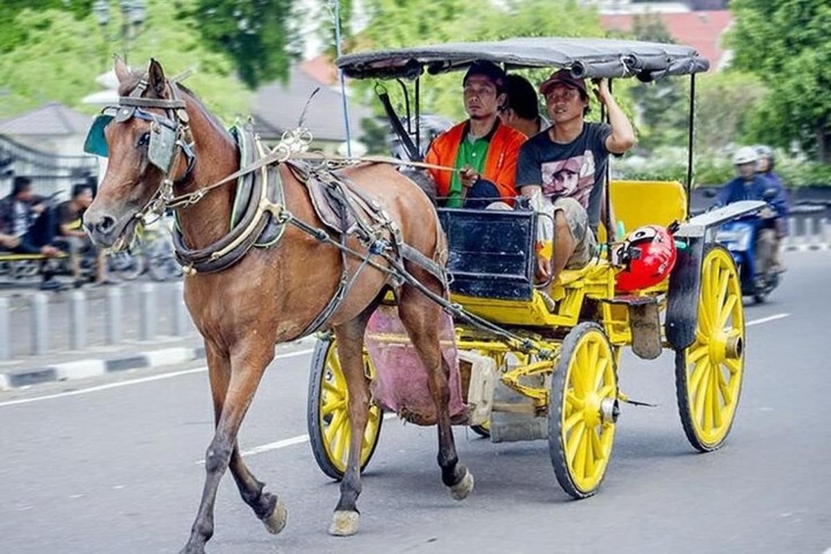 un cavallo che tira una carrozza con due persone