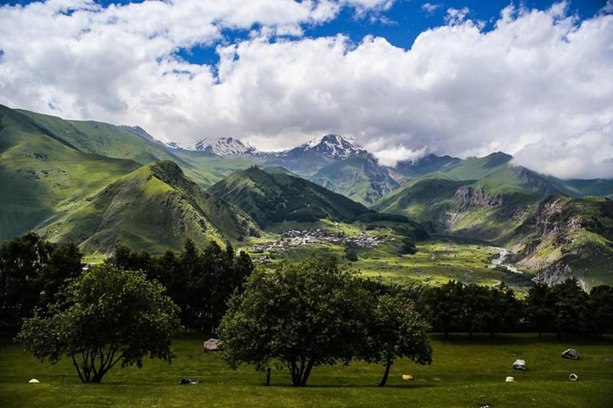un campo verde con alberi e montagne sullo sfondo