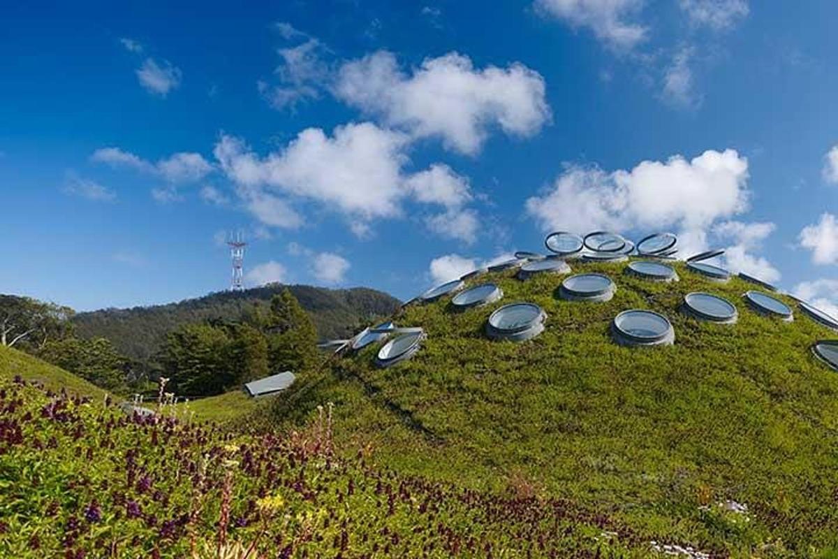 a dome on top of a grassy hill