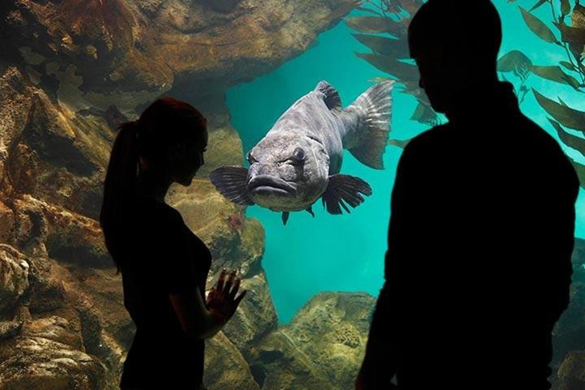 Attraction picture 7