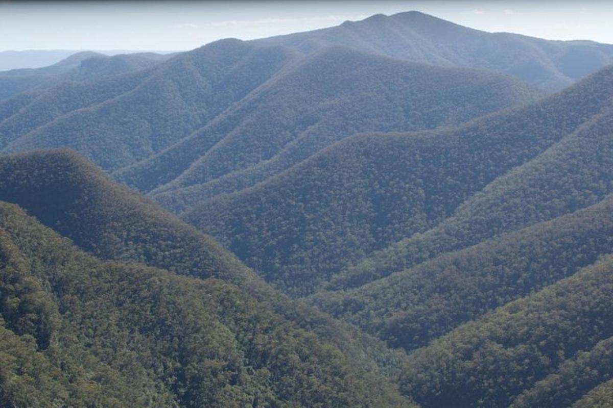 an aerial view of a lush green mountain range