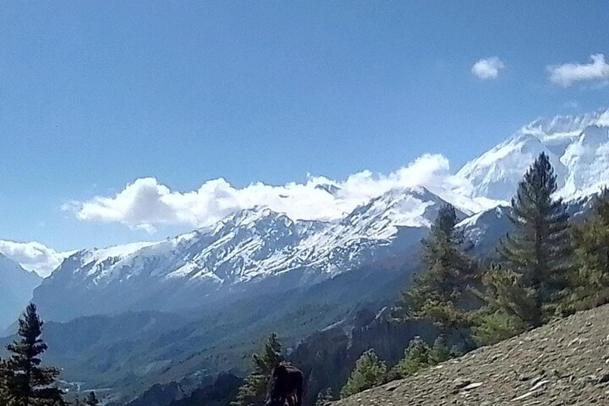 una persona dempeus al cim d'una muntanya coberta de neu