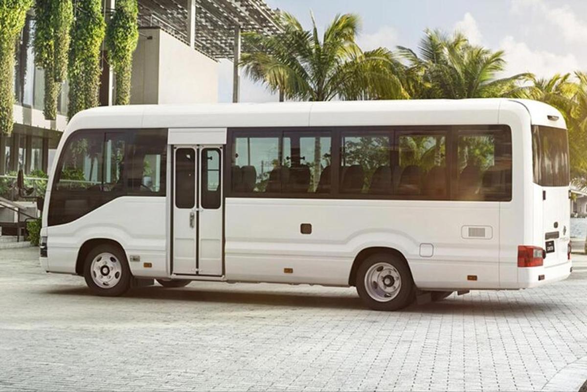 Un autobús blanco estacionado en un estacionamiento con palmeras.