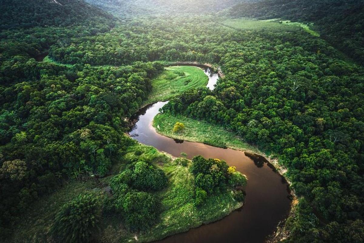 una vista aerea di un fiume in una foresta