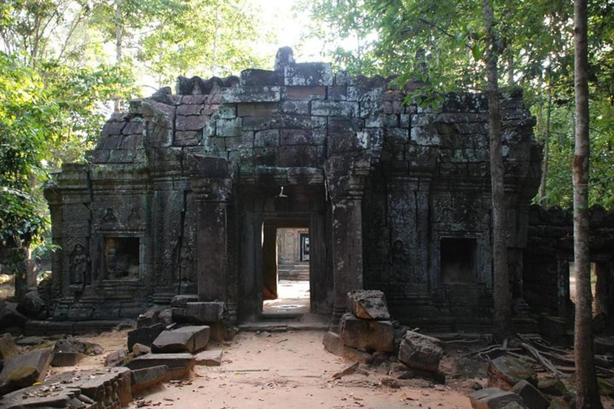 an entrance to an ancient building in a forest