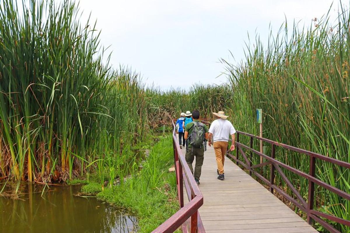 un gruppo di persone che camminano lungo un ponte di legno