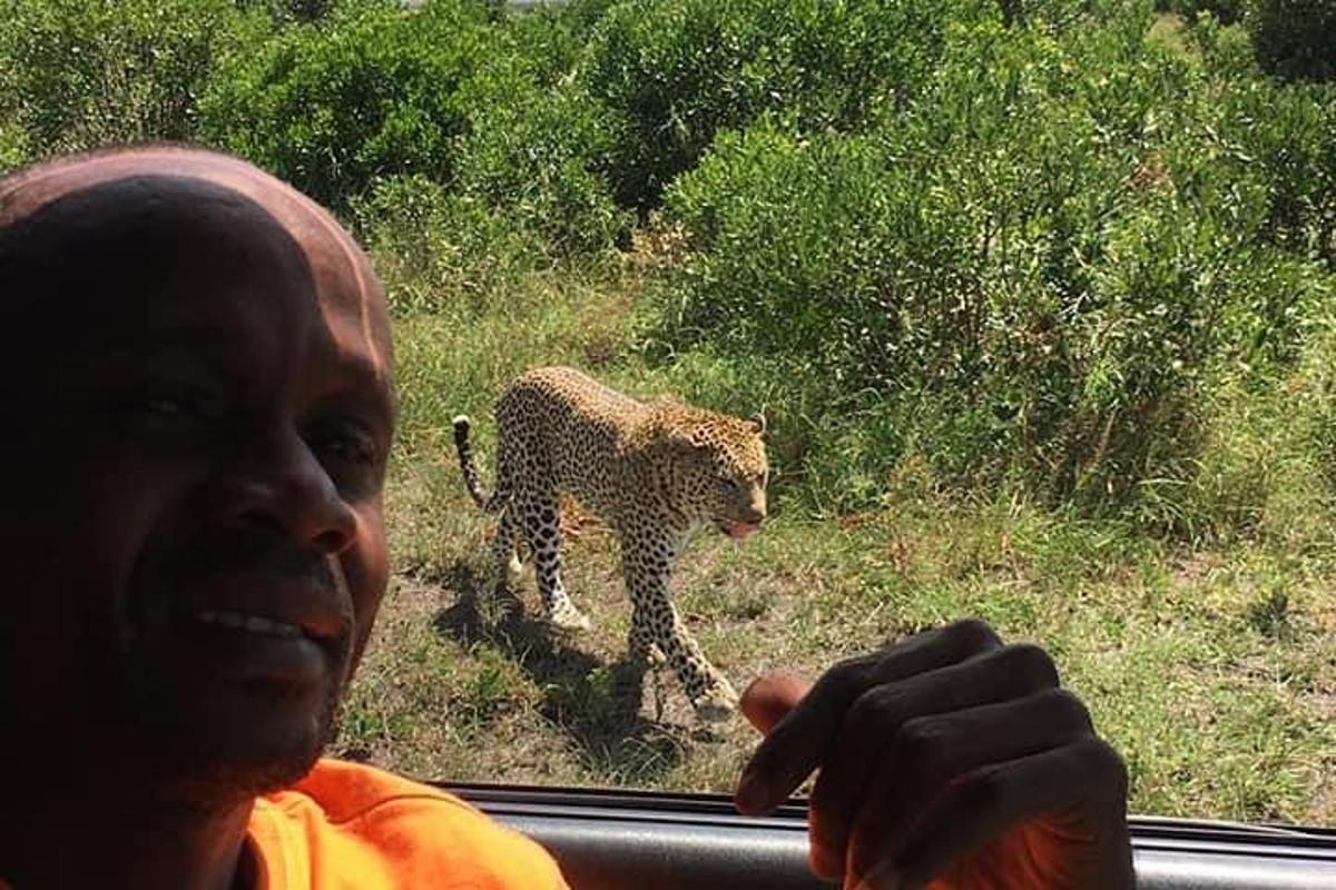 muž dívající se z okna na leoparda