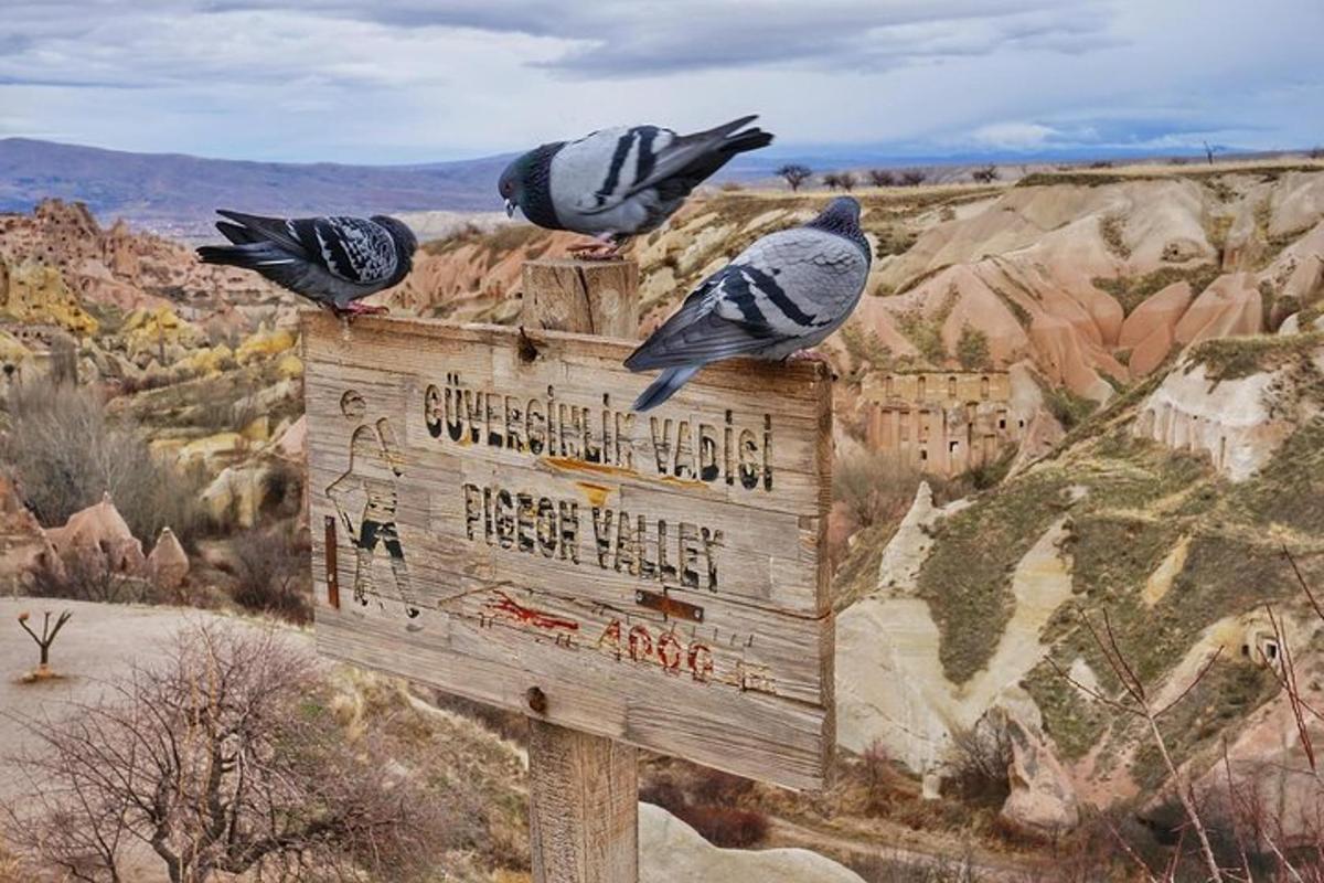 three birds perched on top of a sign in the desert