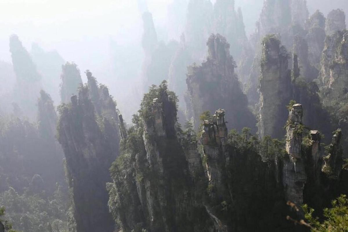 a misty view of a rocky mountain with trees