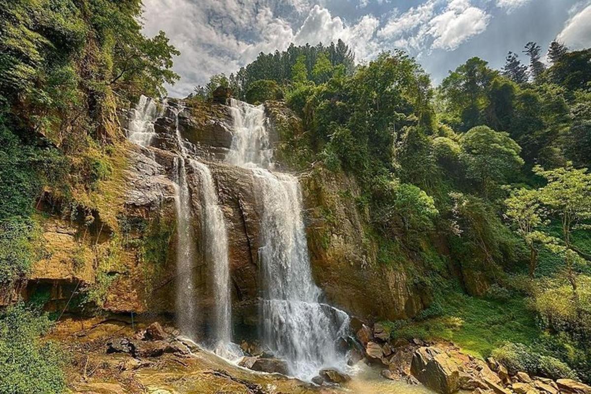 a waterfall on the side of a mountain with trees