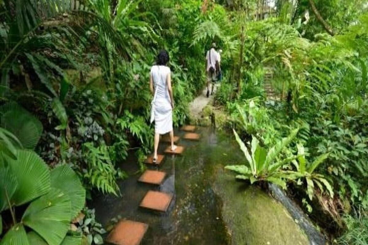 a woman walking across a walkway in a jungle