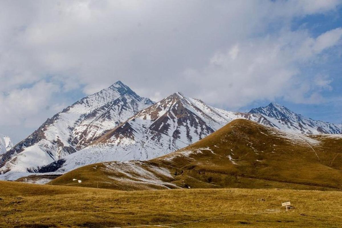 a snow covered mountain with a sheep in front of it