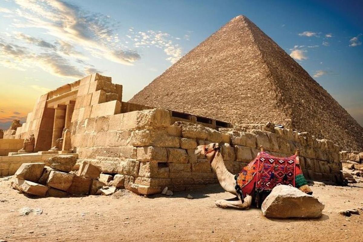 velbloud sedící před pyramidou