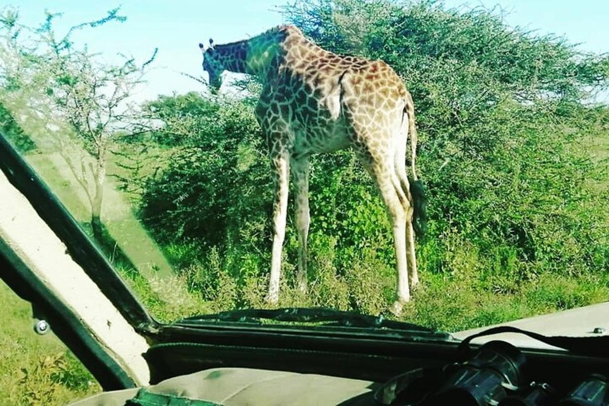 Fotografia da atração 7