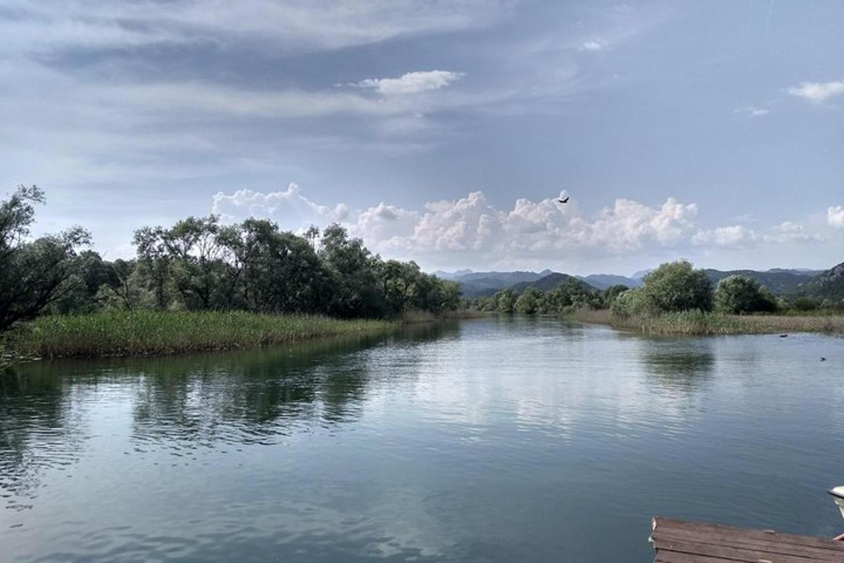 rijeka s drvećem uz nju