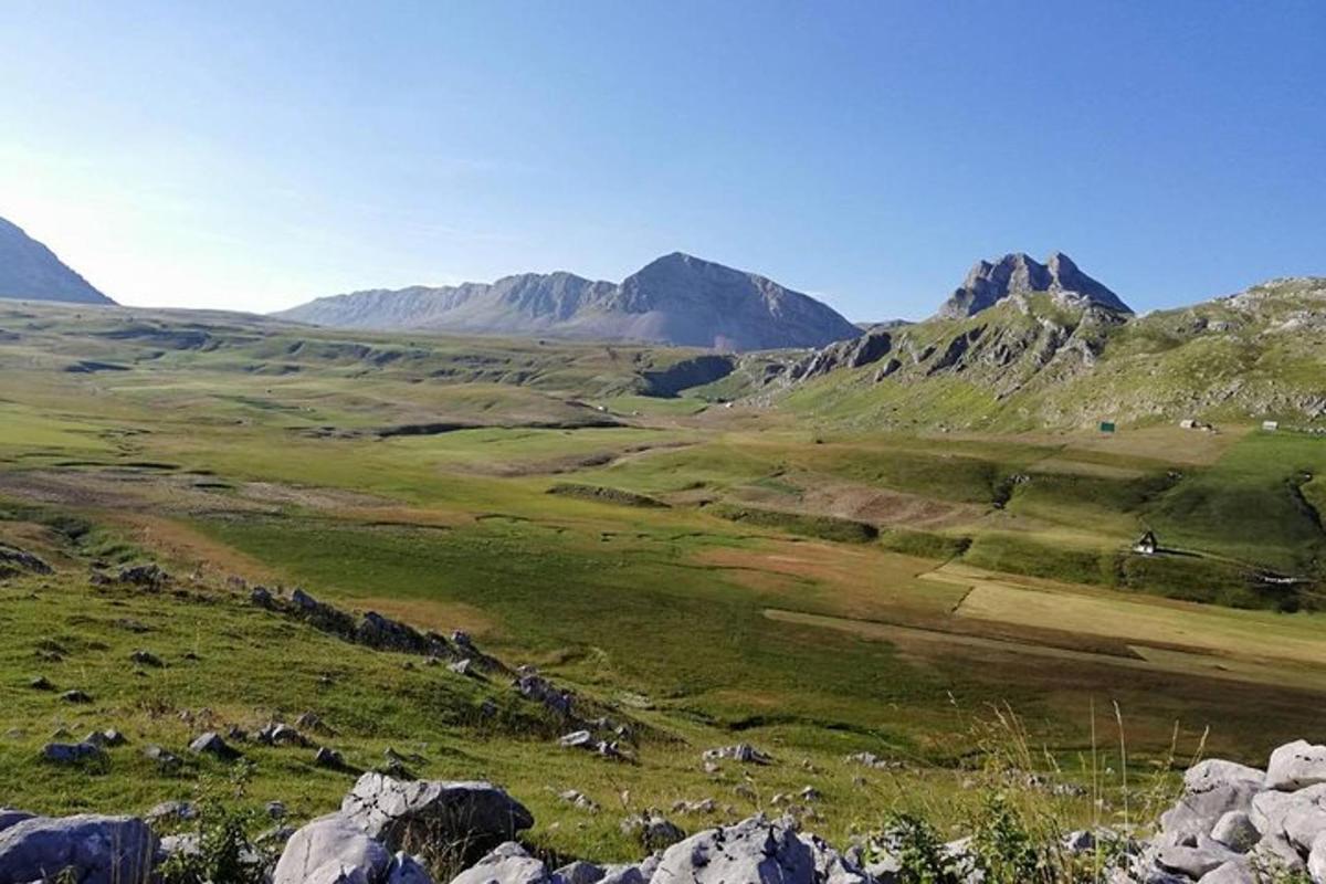 en vy över ett fält med berg i bakgrunden