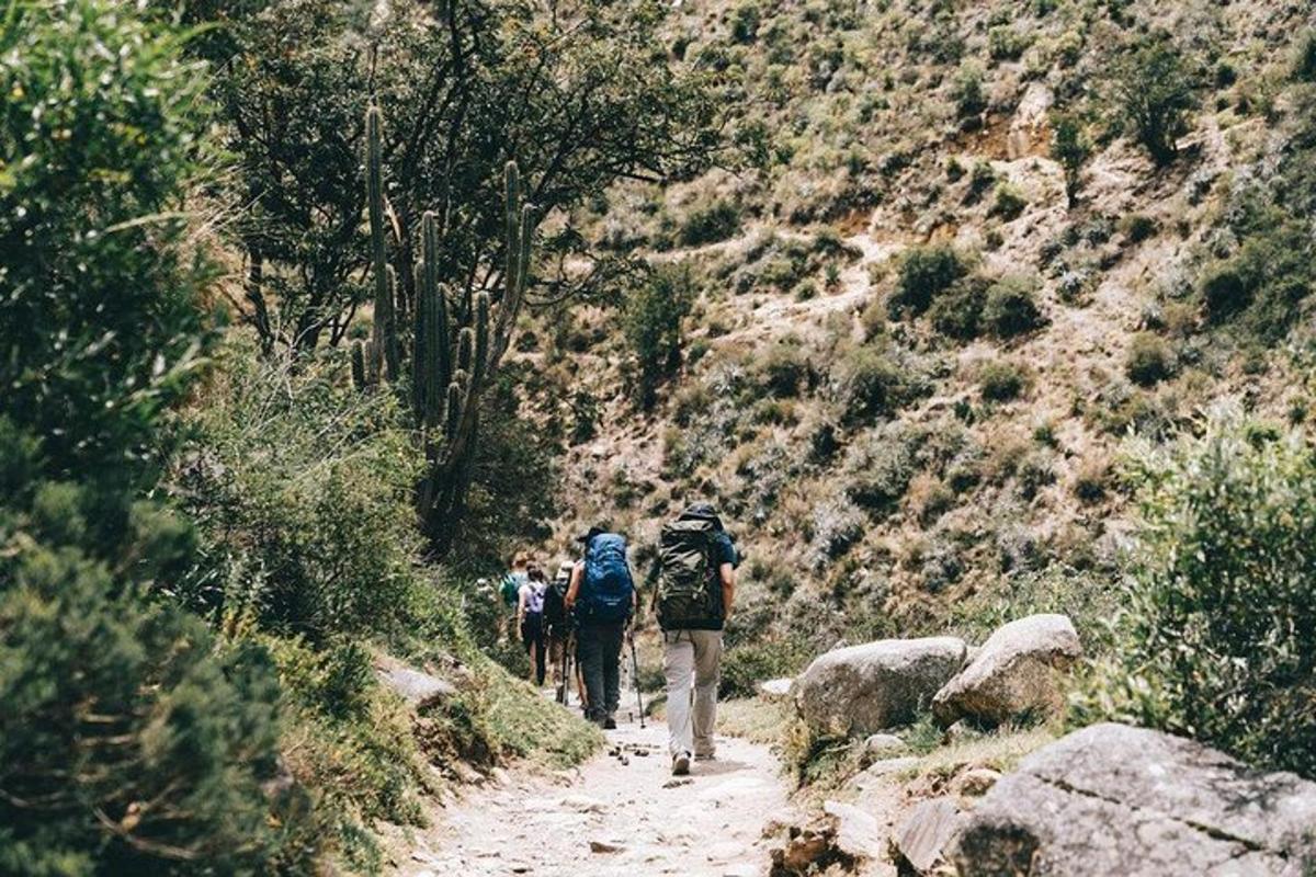 un gruppo di persone che camminano lungo un sentiero sterrato