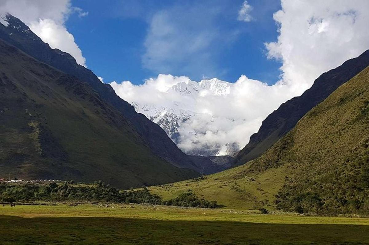 Una vista de un valle con una montaña cubierta de nieve.